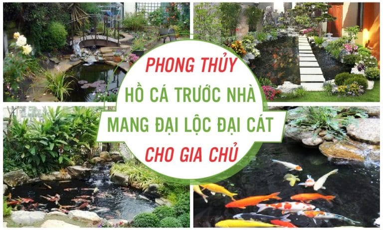 Phong thủy hồ cá trước nhà mang đại lộc đại cát cho gia chủ