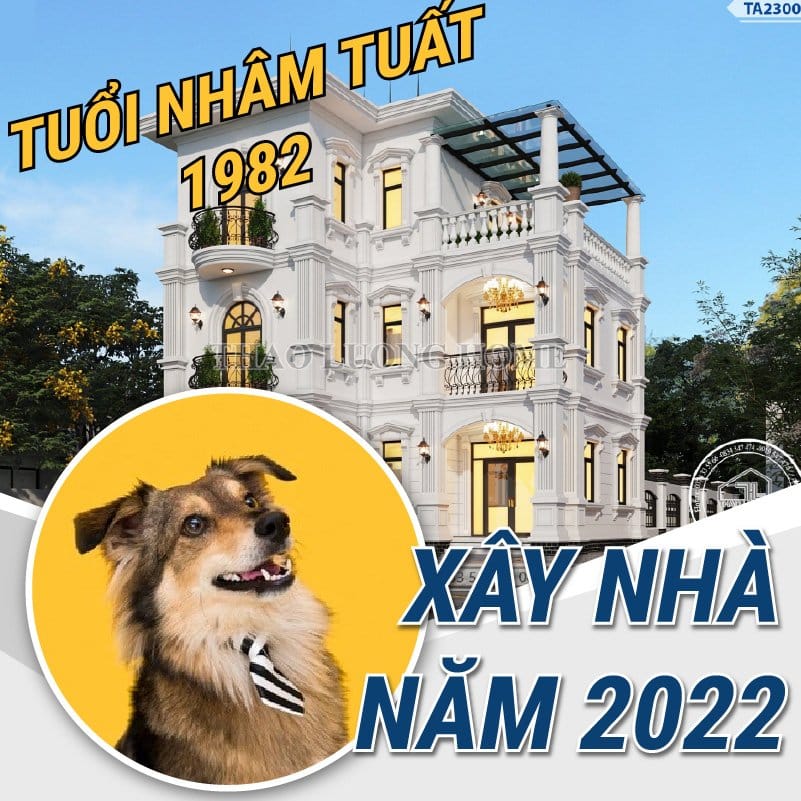 tuổi nhâm tuất 1982 xây nhà năm 2022