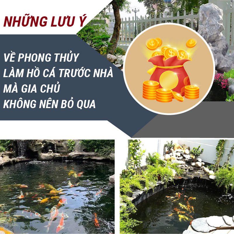 Phong thủy làm hồ cá trước nhà